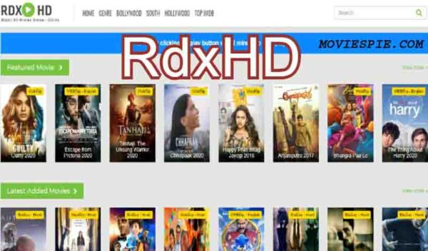 Everything You Need To Know About Rdxhd, Latest Bollywood Movie Torrent Site