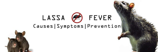 Explained: What is Lassa Fever, its Symptoms, and Treatment?