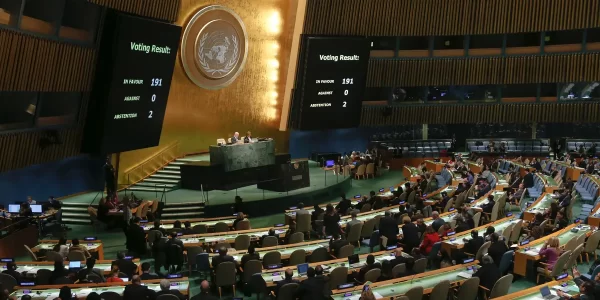 UN adopts veto draft, India regrets lack of inclusivity