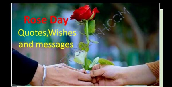 Rose Day quotes,Wishes and messages